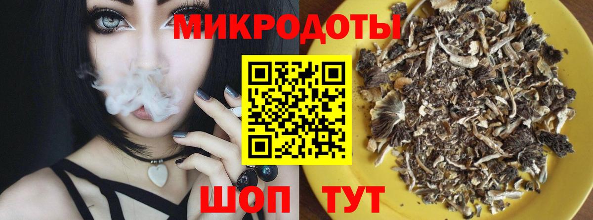 Псилоцибиновые грибы мицелий Скопин
