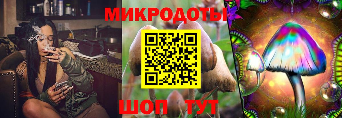 Галлюциногенные грибы Cubensis  даркнет сайт  Вход с VPN  Скопин  Псилоцибиновые грибы мицелий 